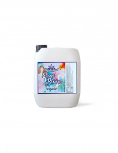 Sweet Bloom 5L - Wonderland