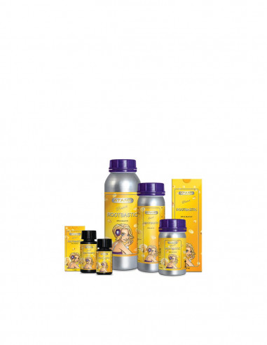 Rootbastic 50ml - Atami