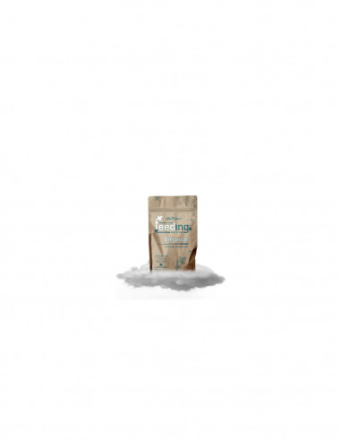 Green House Powder Feeding Enhancer 125 gr