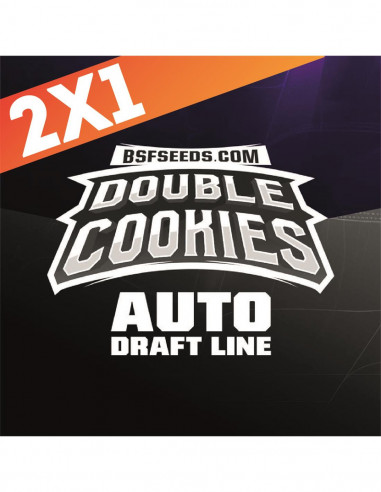 Auto Double Cookies X7 - Bsf Seeds