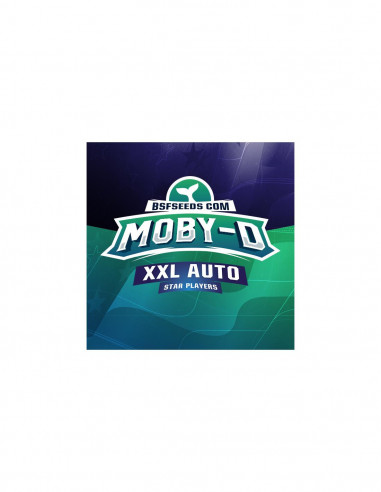 Moby-D Xxl Auto X12 - Bsf Seeds