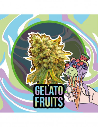 Gelato Fruits FEM - Delirium Seeds