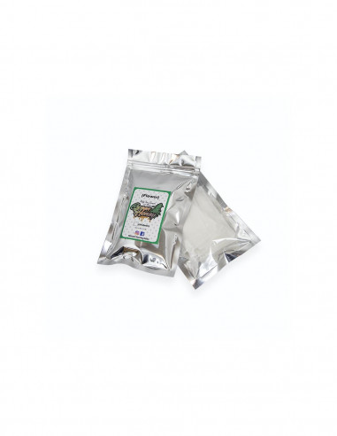 Malla extraccion 120 micras pack 50 und - Green Honey