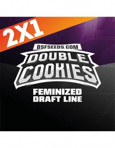 Double Cookies X12 - Bsf Seeds