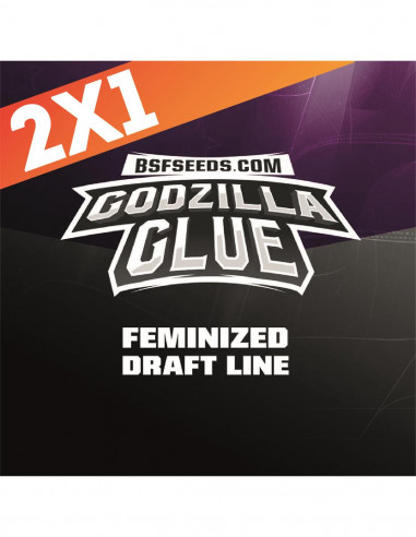 Godzilla Glue X2 - Bsf Seeds