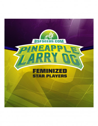 Star Player Pineapple Larry Og X12 - Bsf Seeds