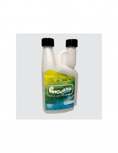 Pinguano 250cc - MicoTrue