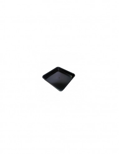 Plato Plastico 5 - 7 Litros